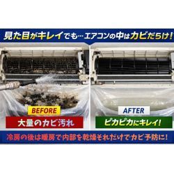 見た目がキレイでも…中はカビだらけ？の画像1