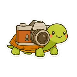 「かめカメラ」店舗オープンしました！よろしくお願いいたします。の画像2