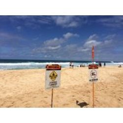 2/27 Aloha LAST DAYS 🌺の画像1