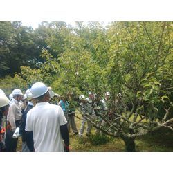 豊田市で勉強会の画像2