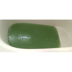 風呂釜洗浄はじめましたの画像1