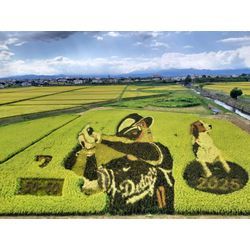 岩手に登山に行きました！の画像3