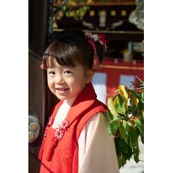 【七五三はスタジオと出張撮影どっちがいい？】違いと選び方！の画像1