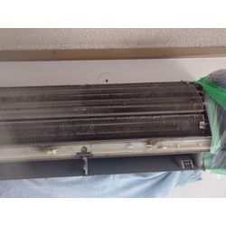 素晴らしいご夫婦の画像2