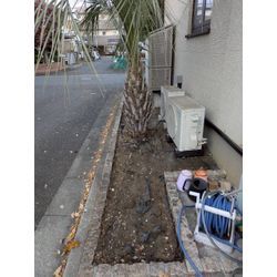 神奈川県二宮町にて草むしり、除草シート敷き、砂利敷きを行いましたの画像1