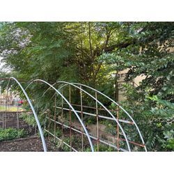 草刈りからの木こり^ ^の画像2