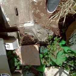 戸建て外構にある排水管、排水桝の周辺対策（アフター）の画像2