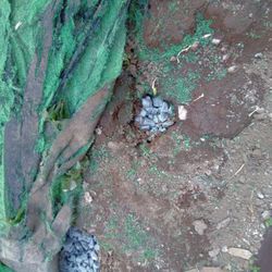 戸建て外構にある排水管、排水桝の周辺対策（アフター）の画像1