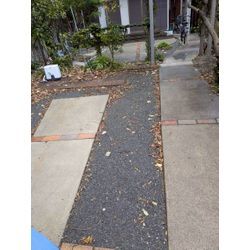 神奈川県真鶴町にて落ち葉清掃を行いましたの画像1