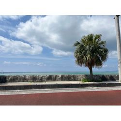 ペットちゃんにも安心のクリーニング MSZ-E2519-wの画像1