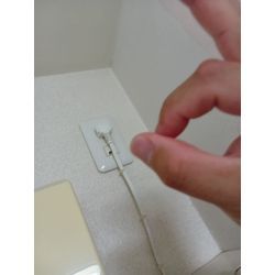 千葉市・市川市・松戸市の壁紙カビ除去の画像2