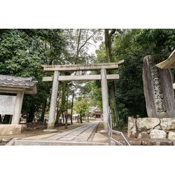 本日は箕面・阿比太神社でお宮参り撮影でしたの画像1