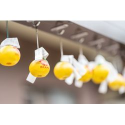 本日は箕面・阿比太神社でお宮参り撮影でしたの画像2