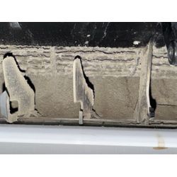 久しぶりのヘビー級に遭遇😱の画像1