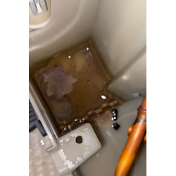 おそうじガン太が、東芝ザブーンの異音を解決！の画像2