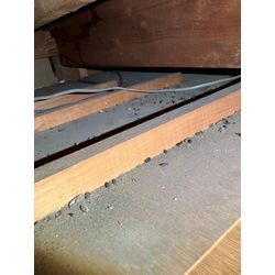 三重県にてネズミ被害駆除防除対策を行いました。の画像1