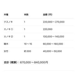 八代市　U社様ご依頼　不動産様敷地　伐採①の画像3