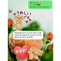 出張ペットシッターの画像3