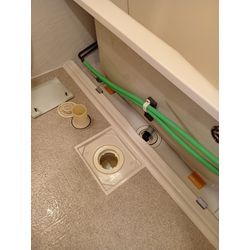 お風呂エプロン内にチョウバエ発生の画像3