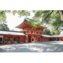 大宮氷川神社にてお宮参り撮影をさせていただきました。の画像1