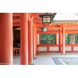大宮氷川神社にてお宮参り撮影をさせていただきました。の画像3