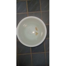 いよいよ寒さ本番の画像1