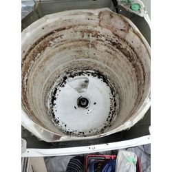 いよいよ7月！洗濯機のカビ対策はお早めに！の画像1