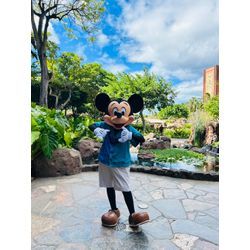 ディズニーに“何を着ていく？”大人のテーマパークコーデ作ります💙の画像3