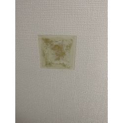 壁穴補修①の画像2