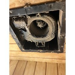 浴室換気扇の内部が…！の画像1