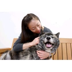 ワンチームの画像1