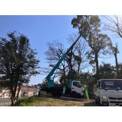 現場の様子の画像2