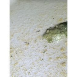 チョウバエ駆除の画像2
