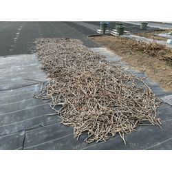 ３件現場💪の画像2