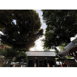 🐍金運アップ✨蛇窪神社🐍の画像2