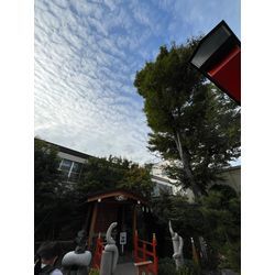 🐍金運アップ✨蛇窪神社🐍の画像3