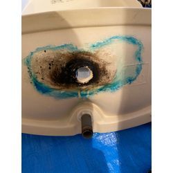 トイレのフタ裏って．．．の画像1