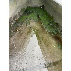 忍者みたい・・・の画像2