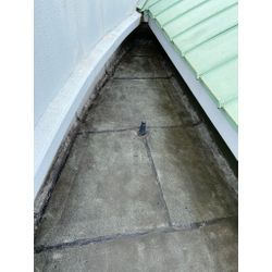 忍者みたい・・・の画像3