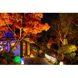 やわらぎの庭に、秋がそっと灯る夜の画像1