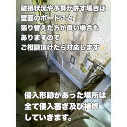 ネズミ対策　福岡県の画像1