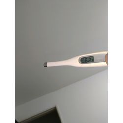 体温チェック　その434の画像1