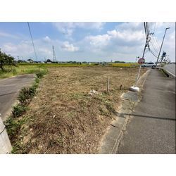 除草作業をさせて頂きました！の画像3