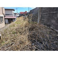 草刈り＆雑木処理作業の完了　群馬高崎の植木屋ゆうさんSortBlogの画像1