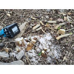 草刈り＆雑木処理作業の完了　群馬高崎の植木屋ゆうさんSortBlogの画像3