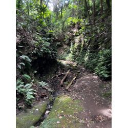 休日は鎌倉でトレイルランニングの画像3