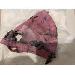 品川区でドラム式洗濯機の詰まり除去に行ってきました！の画像1