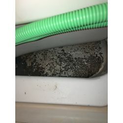 【エプロン内の汚れ】の画像1