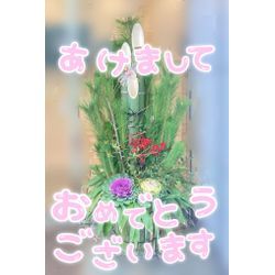 新年のご挨拶と卒業式の着付についての画像1