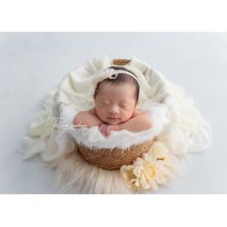 カゴ×チンオンハンズの画像1